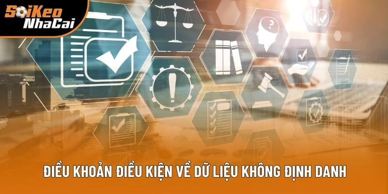 Điều khoản điều kiện về dữ liệu không định danh Điều khoản điều kiện về dữ liệu không định danh