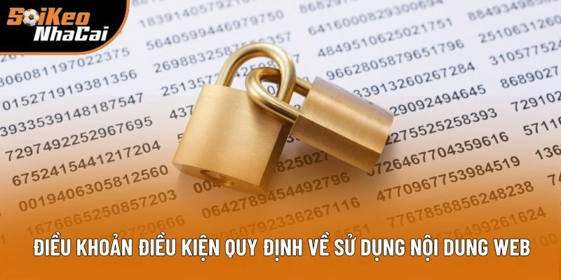 Điều khoản điều kiện quy định về sử dụng nội dung web Điều khoản điều kiện quy định về sử dụng nội dung web