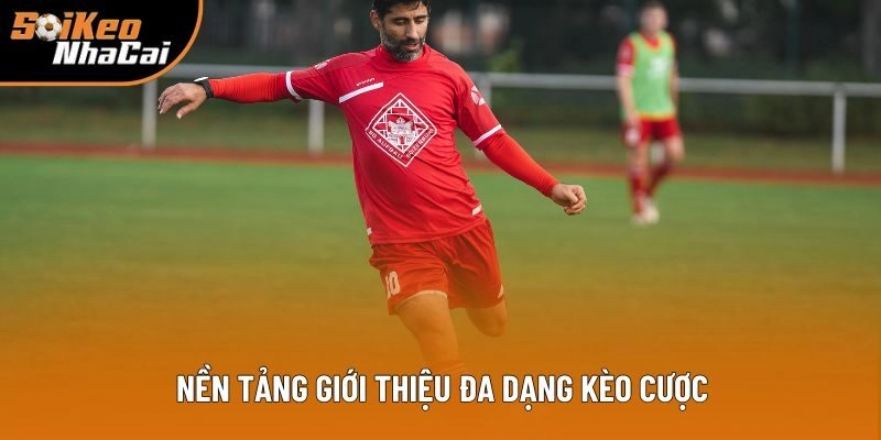 Nền tảng giới thiệu đa dạng kèo cược Nền tảng giới thiệu đa dạng kèo cược