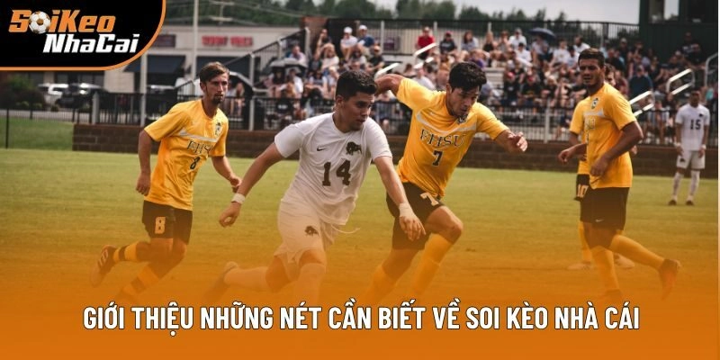 Giới thiệu sơ lược những nét cần biết về Soi Kèo Nhà Cái Giới thiệu sơ lược những nét cần biết về Soi Kèo Nhà Cái