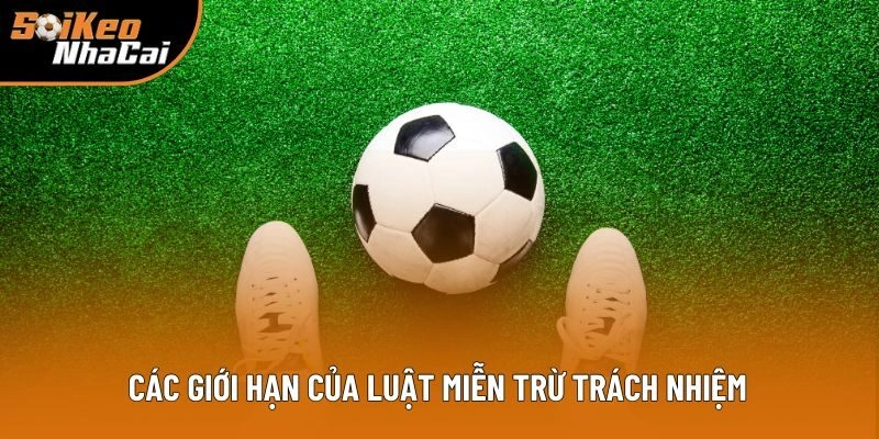 Các giới hạn của luật miễn trừ trách nhiệm đặt ra Các giới hạn của luật miễn trừ trách nhiệm đặt ra
